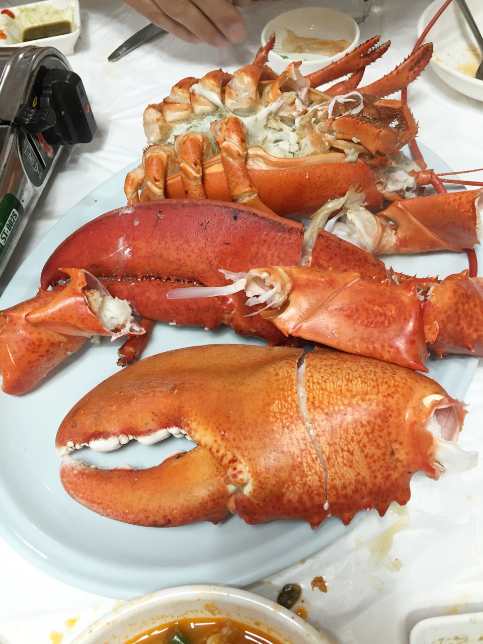 lobster017